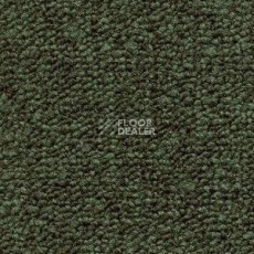 Ковролин Radici Trotter Foresta 2405 фото 1 | FLOORDEALER